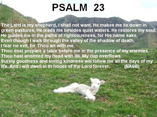 23PsalmNASB_zpsfc99e547.jpg