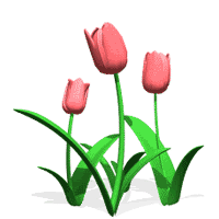 spring.gif