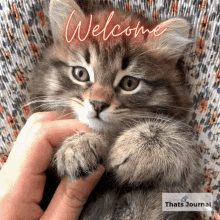 welcome-greeting.gif