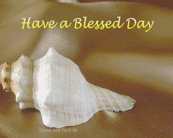 shell.gif