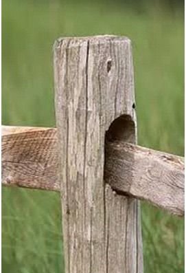 fence_zps4rgwp4wo.jpg