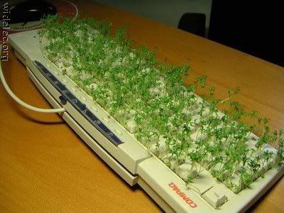 computer_uses_37.jpg