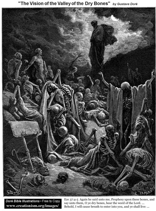 oEze3704Dore_TheVisionOfTheValleyOfDryBones.jpg