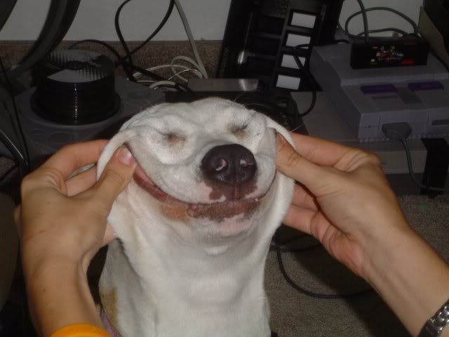 Ohappyday.jpg