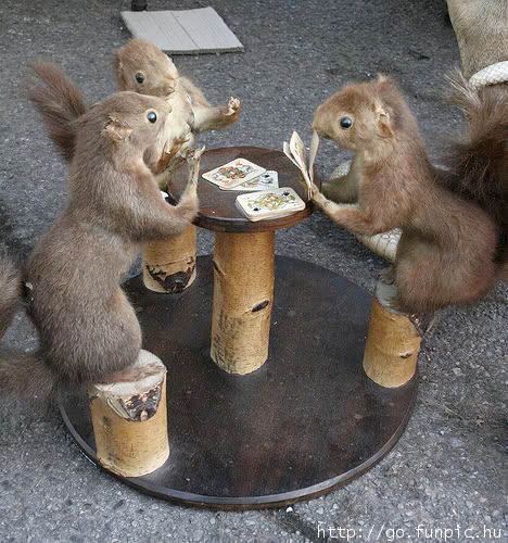 squirrels.jpg