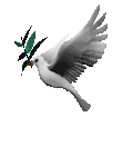 dovewi12.gif