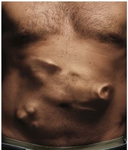 sexy-pig.jpg