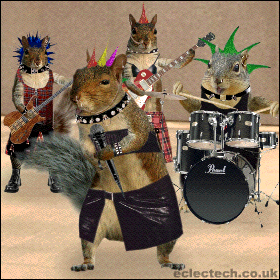 Squirrels.gif