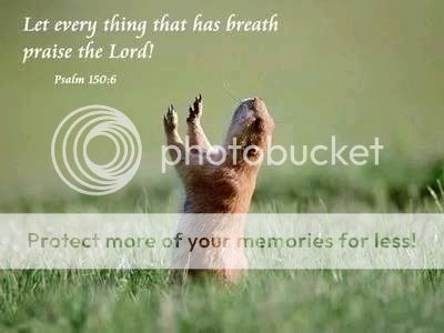 groundhogpraising.jpg