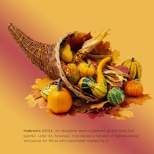 harvest.jpg