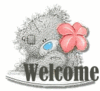 2330795803_cbf56d6238_o.gif