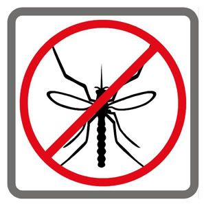 mosquito.jpg