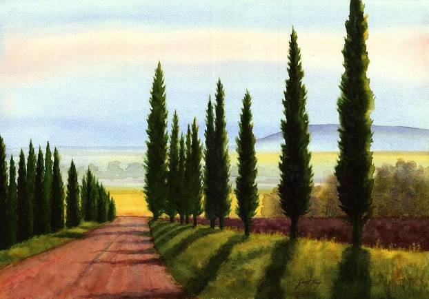 cypress-trees.jpg