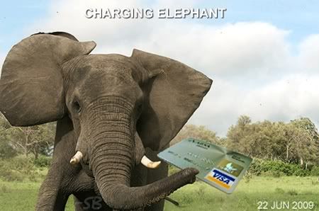 chargingelephant.jpg