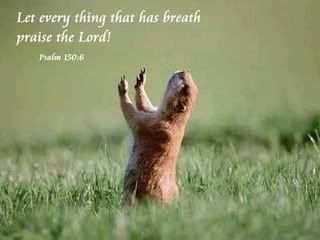 praise.jpg