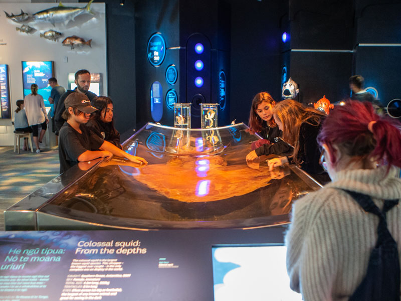 www.tepapa.govt.nz