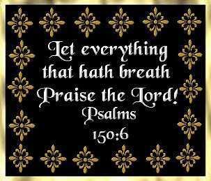 breathpraise.jpg