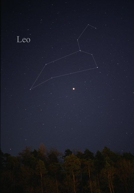 LeoCC.jpg