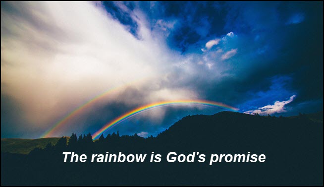 Gen-8-to-11-rainbow1a.jpg