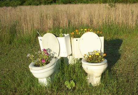 redneck-garden.jpg