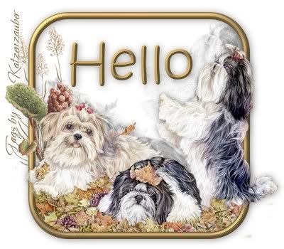 hello.jpg