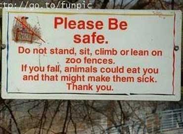 Animals.jpg