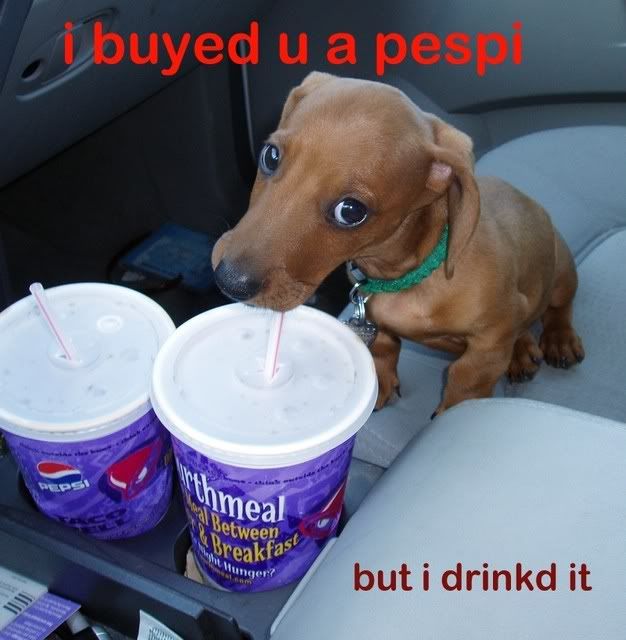up23-random-funny_7.jpg