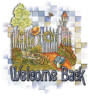 BackYard.gif
