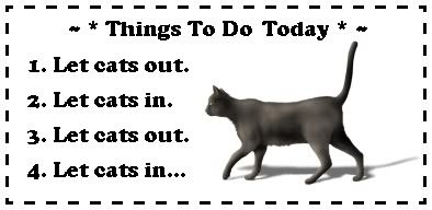 cats-1.jpg