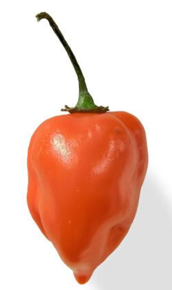 250px-Habanero_closeup_edit2.jpg