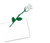ThankYou-6.gif
