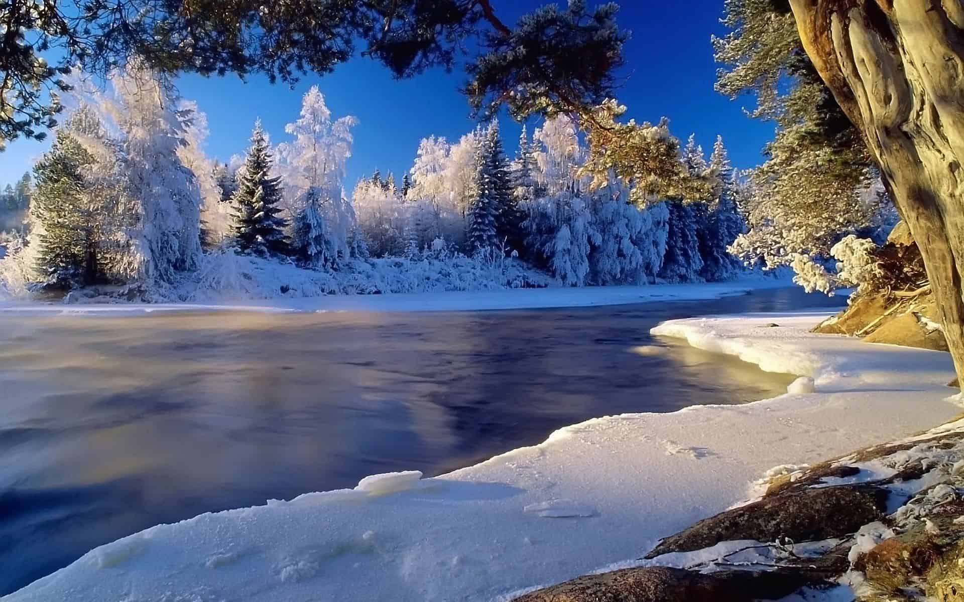Winter-Landscape-Wallpaper-HD.jpg