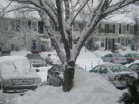 Snow.jpg