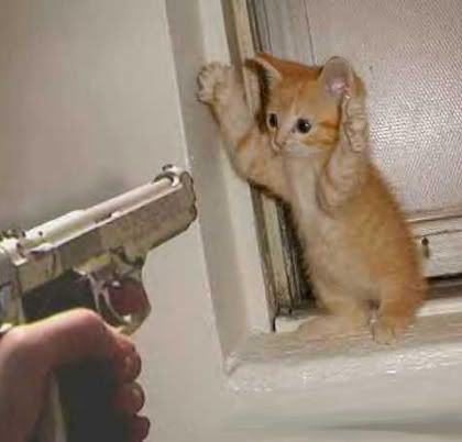 dd35cdea.jpg