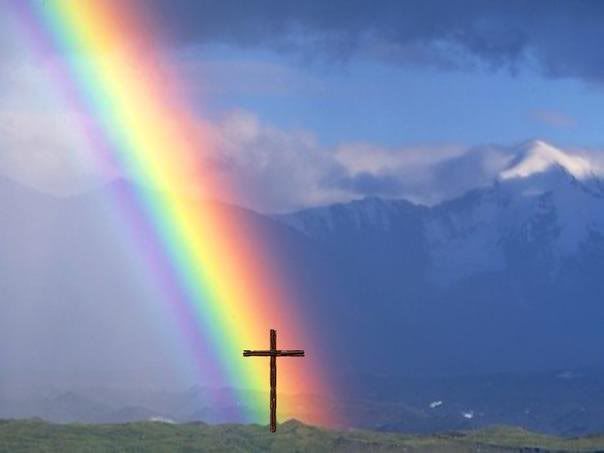 bcb4290e25fb128344673329197cfd70--rainbow-baby-rainbows.jpg