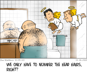 C-Rev-Hairs.gif