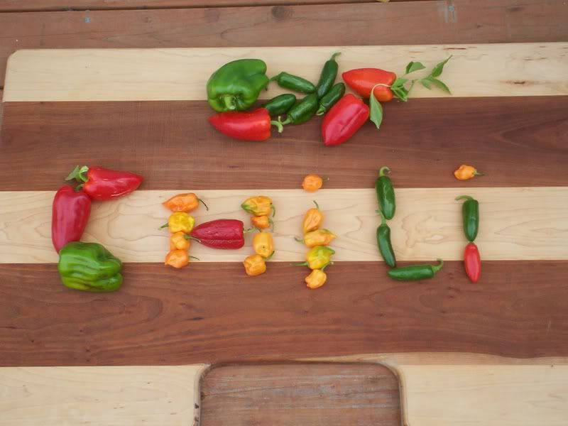 chili002.jpg