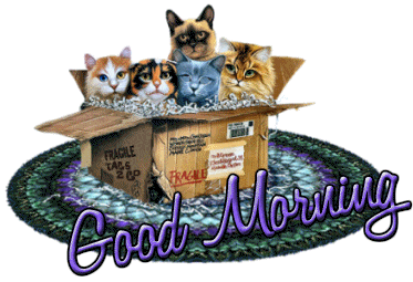 GoodMorning-1.gif