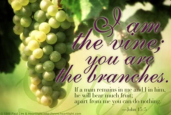 john15_5.jpg