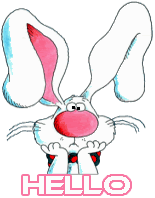 hello-bunny_DRRgif.gif