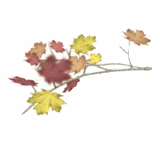 th4950587AutumnLeaves.gif