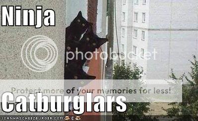 funny-pictures-black-cats-ninja-bur.jpg
