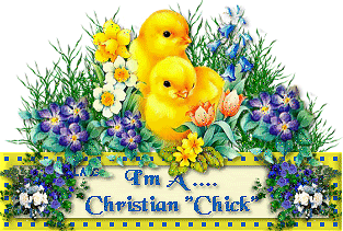 ChristianChick-LMG3.gif