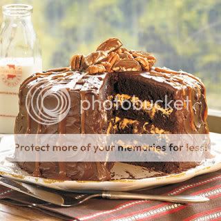 chocolate-cake-oh-1727433-x.jpg