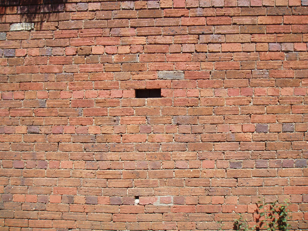 another_brick_in_the_wall_by_Rafdog.jpg