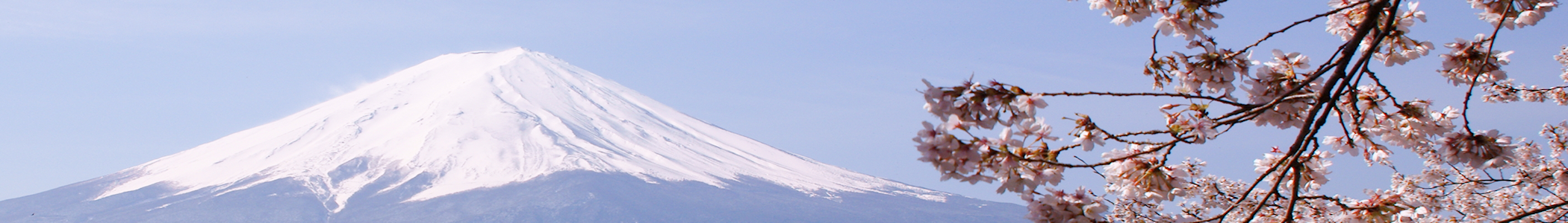 Mount_Fuji_banner_Fuji_and_cherry_blossoms.png