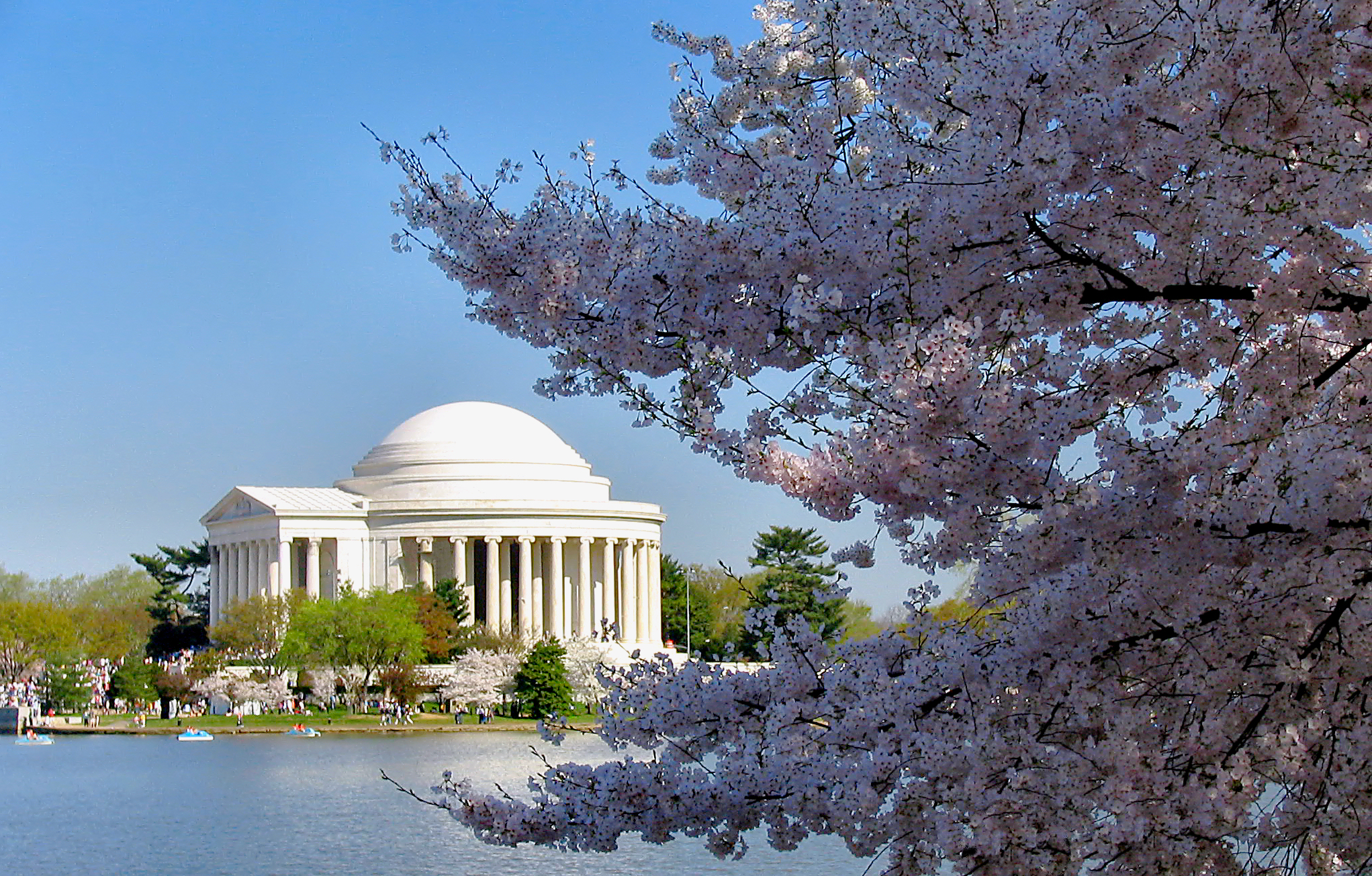 Jefferson_Memorial_with_Cherry_Blossom.jpg